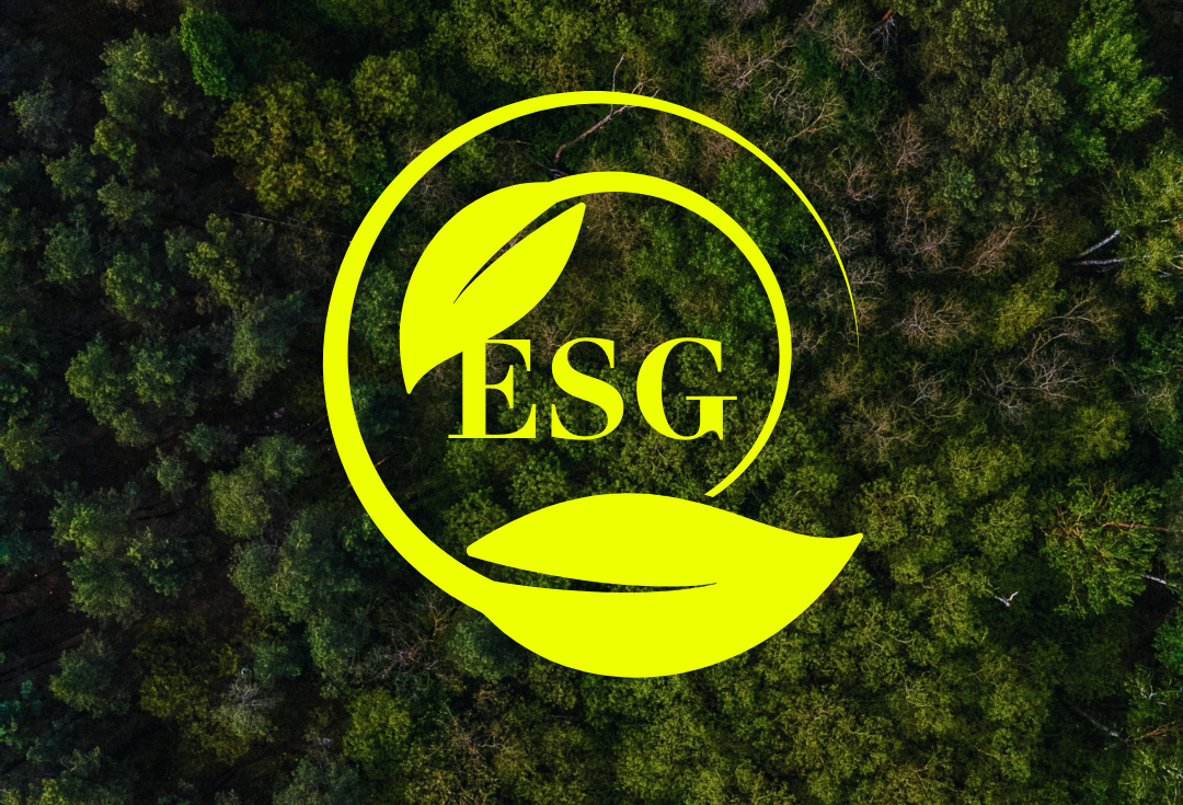Dřevostavby v kontextu ESG: Budoucnost pro developery?